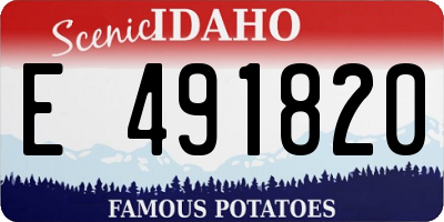 ID license plate E491820