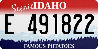ID license plate E491822