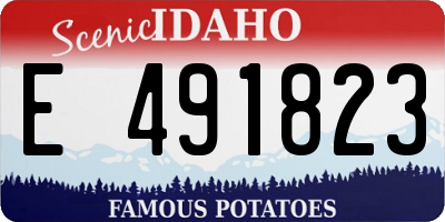 ID license plate E491823