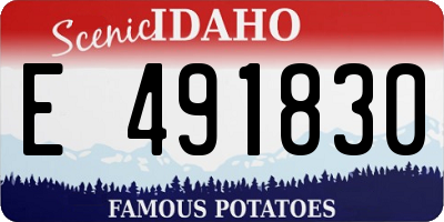 ID license plate E491830