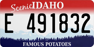 ID license plate E491832