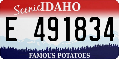 ID license plate E491834