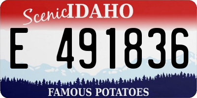 ID license plate E491836