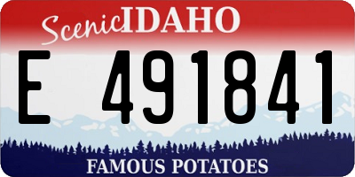 ID license plate E491841