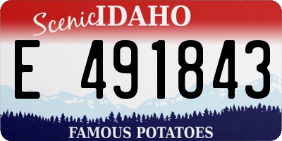 ID license plate E491843