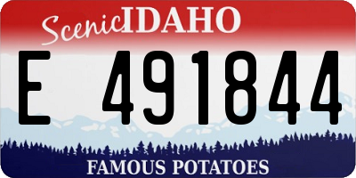ID license plate E491844
