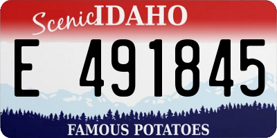 ID license plate E491845