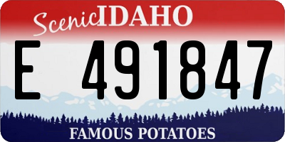 ID license plate E491847
