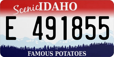 ID license plate E491855