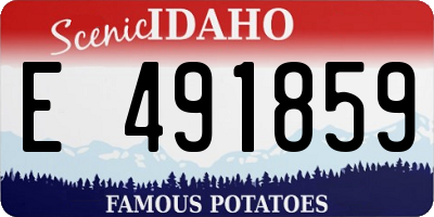 ID license plate E491859
