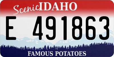 ID license plate E491863