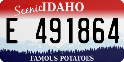 ID license plate E491864