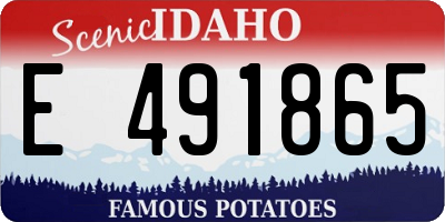 ID license plate E491865
