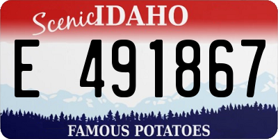 ID license plate E491867