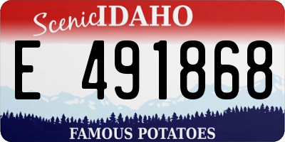 ID license plate E491868