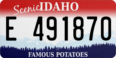 ID license plate E491870