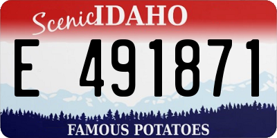 ID license plate E491871