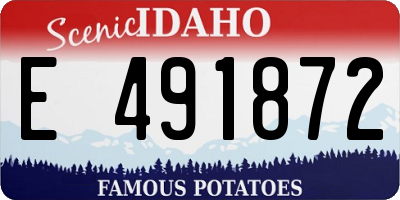 ID license plate E491872