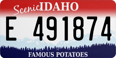 ID license plate E491874