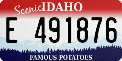 ID license plate E491876