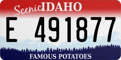 ID license plate E491877