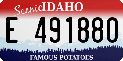 ID license plate E491880
