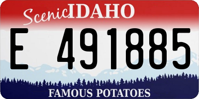 ID license plate E491885