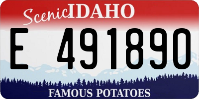 ID license plate E491890
