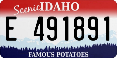 ID license plate E491891