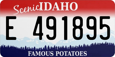 ID license plate E491895