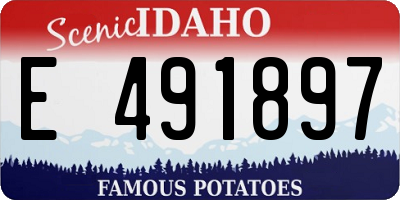 ID license plate E491897