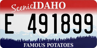 ID license plate E491899