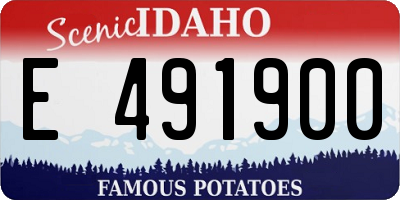 ID license plate E491900