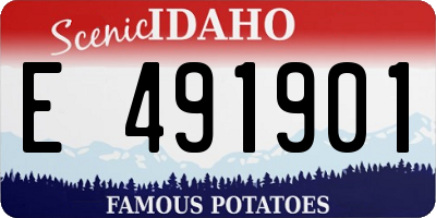 ID license plate E491901
