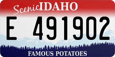 ID license plate E491902