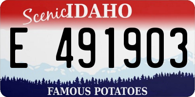 ID license plate E491903