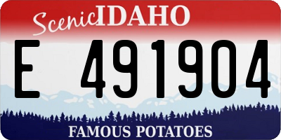 ID license plate E491904