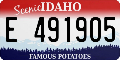 ID license plate E491905