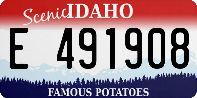 ID license plate E491908