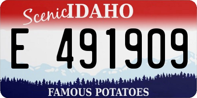 ID license plate E491909