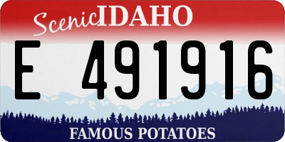 ID license plate E491916