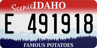 ID license plate E491918