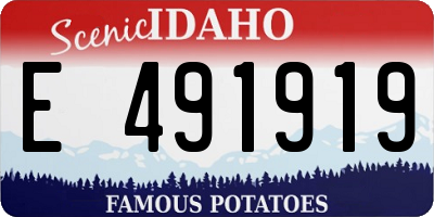 ID license plate E491919