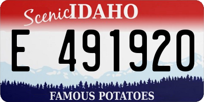 ID license plate E491920