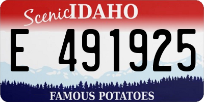 ID license plate E491925