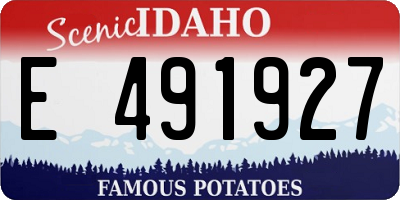 ID license plate E491927