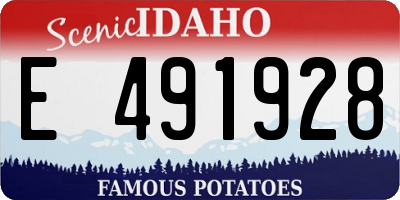 ID license plate E491928