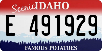 ID license plate E491929