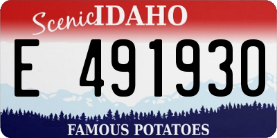 ID license plate E491930