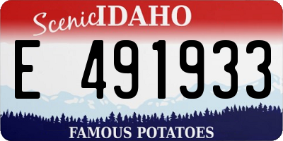 ID license plate E491933